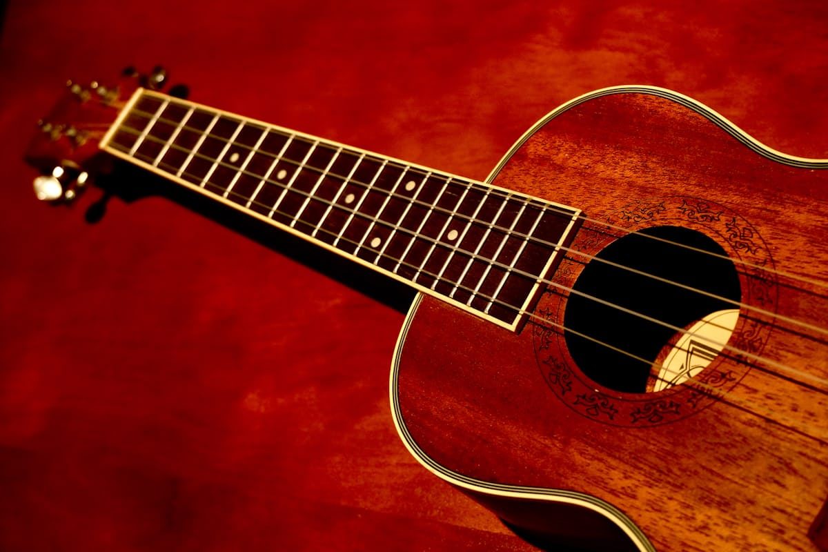 Guitar